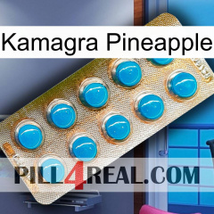 Kamagra Pineapple new09